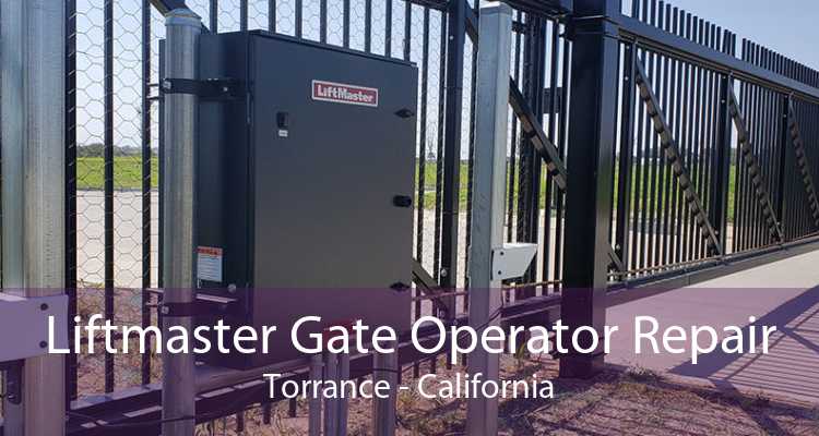 Liftmaster Gate Operator Repair Torrance - California